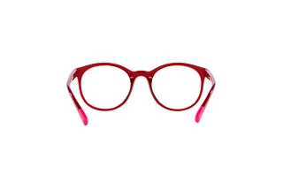 [glasses-back-view] Dolce & Gabbana DX5095 (1551)