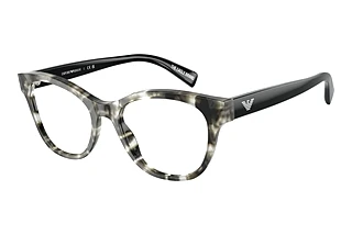 [glasses-front-view] Emporio Armani EA3162 (5193)