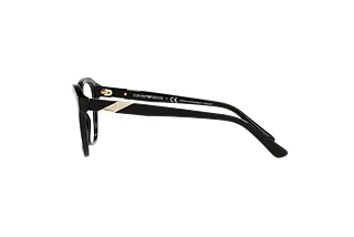 [glasses-side-view] Emporio Armani EA3195 (5875)