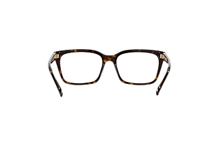 [glasses-back-view] Emporio Armani EA3219 (5879)