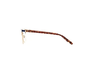 [glasses-side-view] Fossil FOS 7041 (FLL)