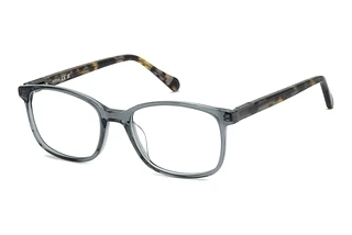 Fossil FOS 7198 63M KRISTALL