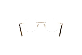 [glasses-back-view] Giorgio Armani AR5115 (3002)