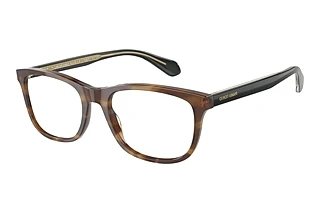 Giorgio Armani AR7215 5941
