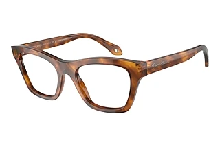 Giorgio Armani AR7240 5988