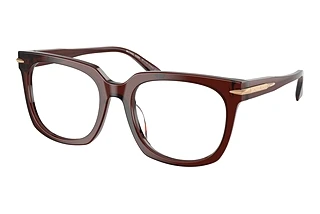 Michael Kors MK4176U 3401 Brown Transparent