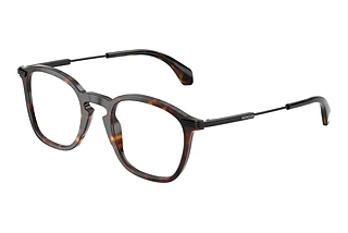 Moncler ME2017 3002 Shiny Havana