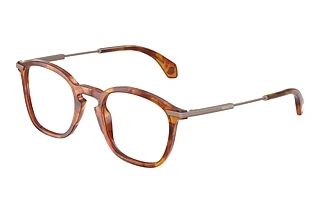 Moncler ME2017 3004 Shiny Brown Tortoise