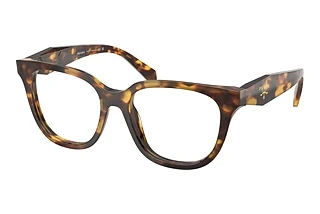 Prada PR C11V 14L1O1 Honey Tortoise