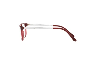 [glasses-side-view] Ralph Lauren RL6135 (5144)