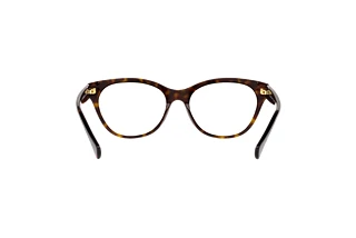 [glasses-back-view] Ralph RA7141 (5003)