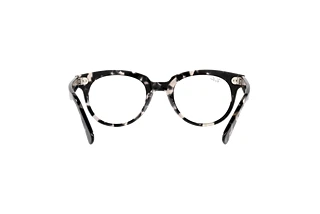 [glasses-back-view] Ray-Ban RX2199V (8117)