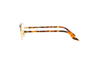 [glasses-side-view] Ray-Ban RX3690V (2500)