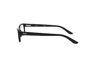 [glasses-side-view] Ray-Ban RX5187 (2000)