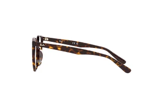 Vista lateral Ray-Ban RX5411D (2012)
