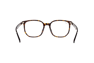 Vista traseira Ray-Ban RX5411D (2012)