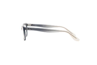 [glasses-side-view] Ray-Ban LADY BURBANK (RX5499 - 8147)