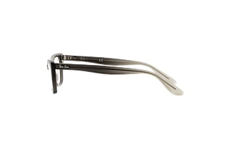 [glasses-side-view] Ray-Ban LADY BURBANK (RX5499 - 8149)