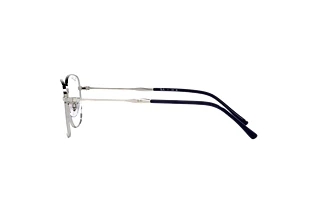 [glasses-side-view] Ray-Ban RX6497 (2501)