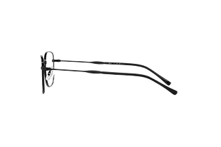[glasses-side-view] Ray-Ban RX6497 (2509)