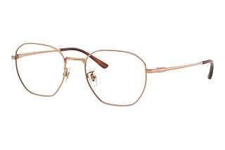 Ray-Ban RX8777D 1245 Copper