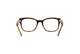 Vista traseira Versace VE3314 (108)