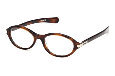 Eyewear Adidas Originals OR5129 052