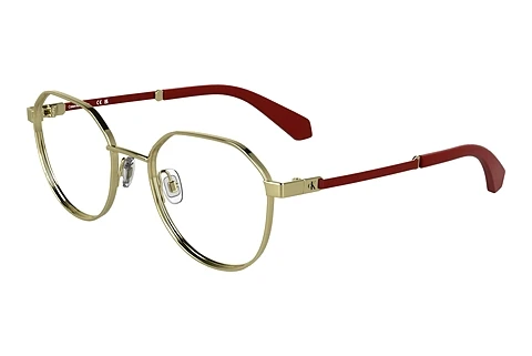 Glasögon Calvin Klein CKJ25304 717