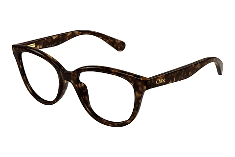 Glasögon Chloé CC0021O 002