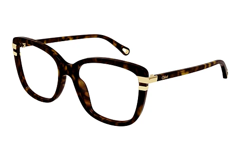 Óculos de design Chloé CH0119O 002