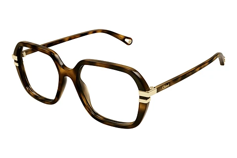 Glasögon Chloé CH0205O 002