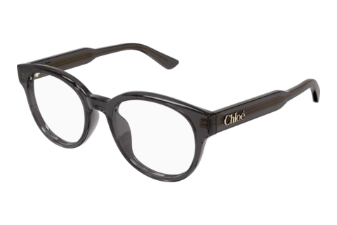 Okuliare Chloé CH0343OA 001