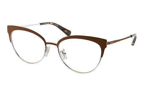 brille Coach HC5108 9339