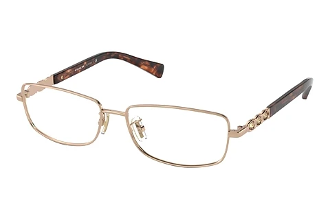 brille Coach HC5110B 9331