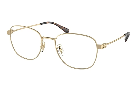 brille Coach HC5163 9005