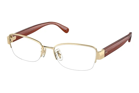 brille Coach HC5168 9005