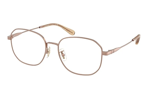brille Coach HC5187D 9414