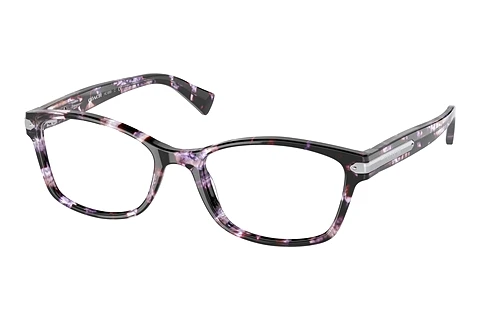 brille Coach HC6065 5548