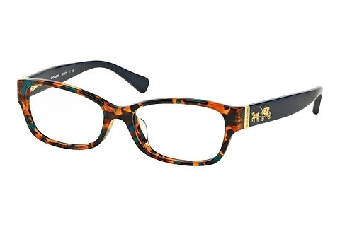 brille Coach HC6078 5337