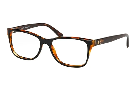 brille Coach HC6129 5446