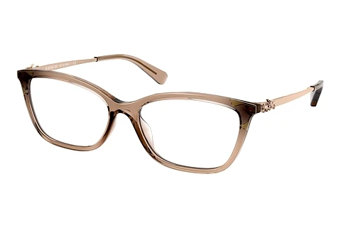 brille Coach HC6146U 5561
