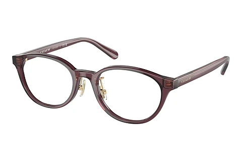 brille Coach HC6152D 5677