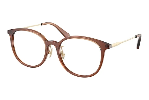 brille Coach HC6160D 5847