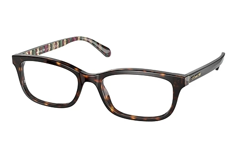 brille Coach HC6174 5120
