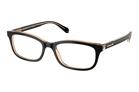 brille Coach HC6174 5781