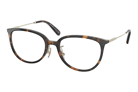 brille Coach HC6175D 5120