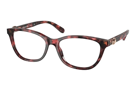 brille Coach HC6180 5658