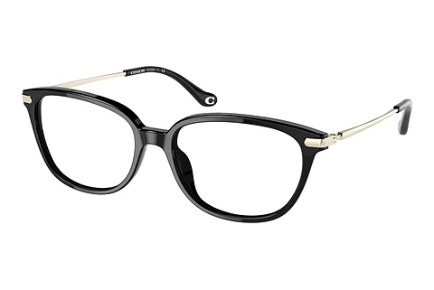 brille Coach HC6185 5002
