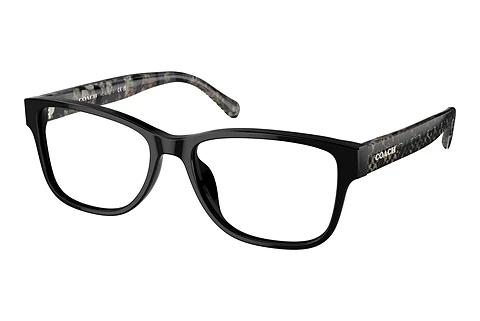 brille Coach HC6208U 5002