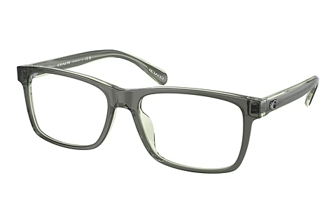 brille Coach HC6213U 5746